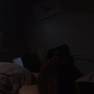 Meet your Posher, Trang